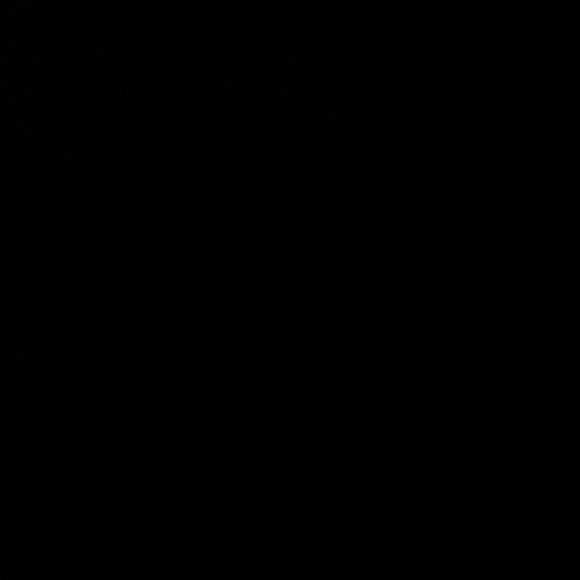 Meet your Posher, Laina - Picture 1 of 1